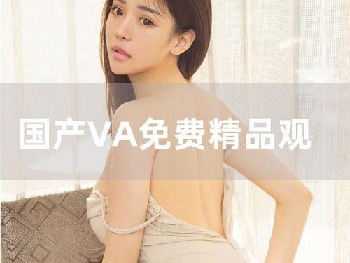 印尼巴士模拟器国产车辆模组 